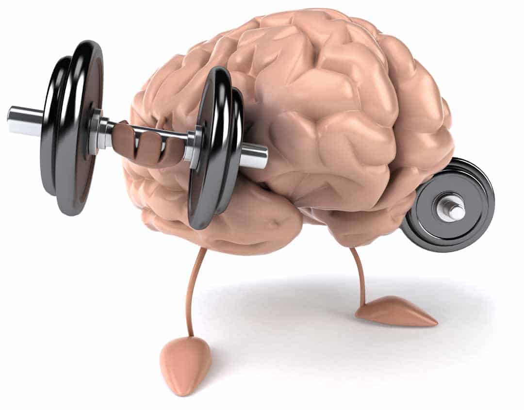 Neurotrophins: Fertilisers for your brain!