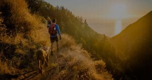 Muscle Imbalance Over 40? The Power of iNform SymmetryCheck